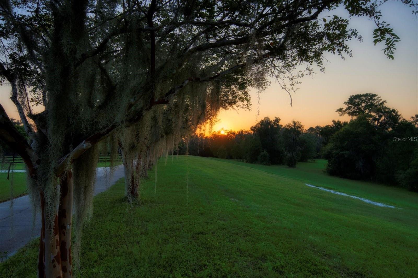 7650 N WHIPPOORWILL TER, HERNANDO, FL, 34442