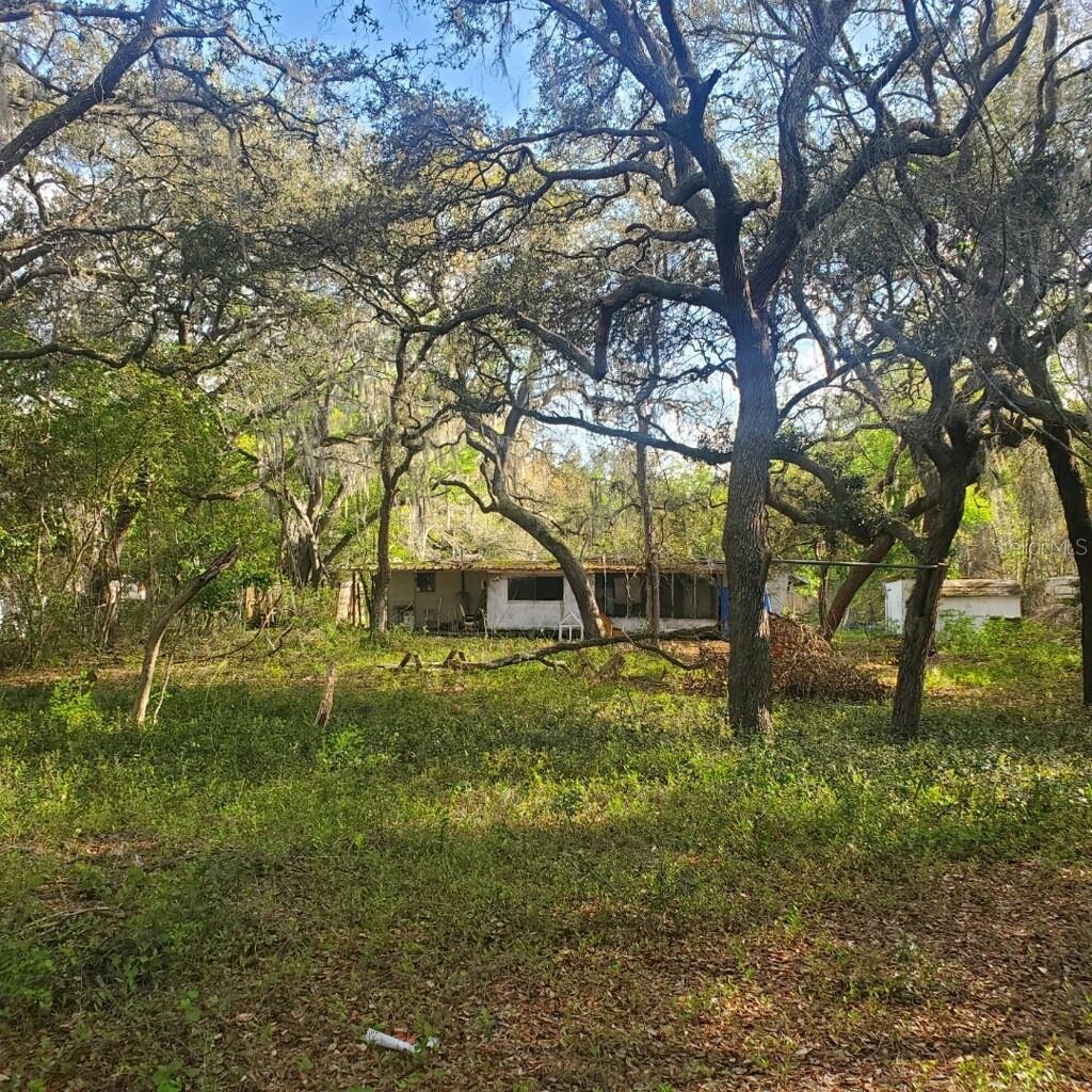 17461 SE 10TH ST, SILVER SPRINGS, FL, 34488