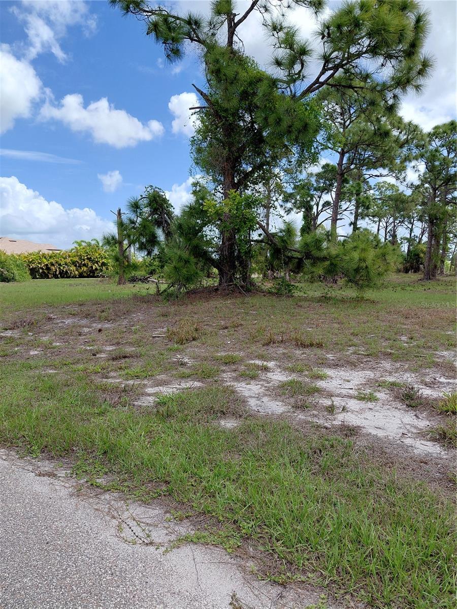 80 COXSWAIN CIR, PLACIDA, FL, 33946
