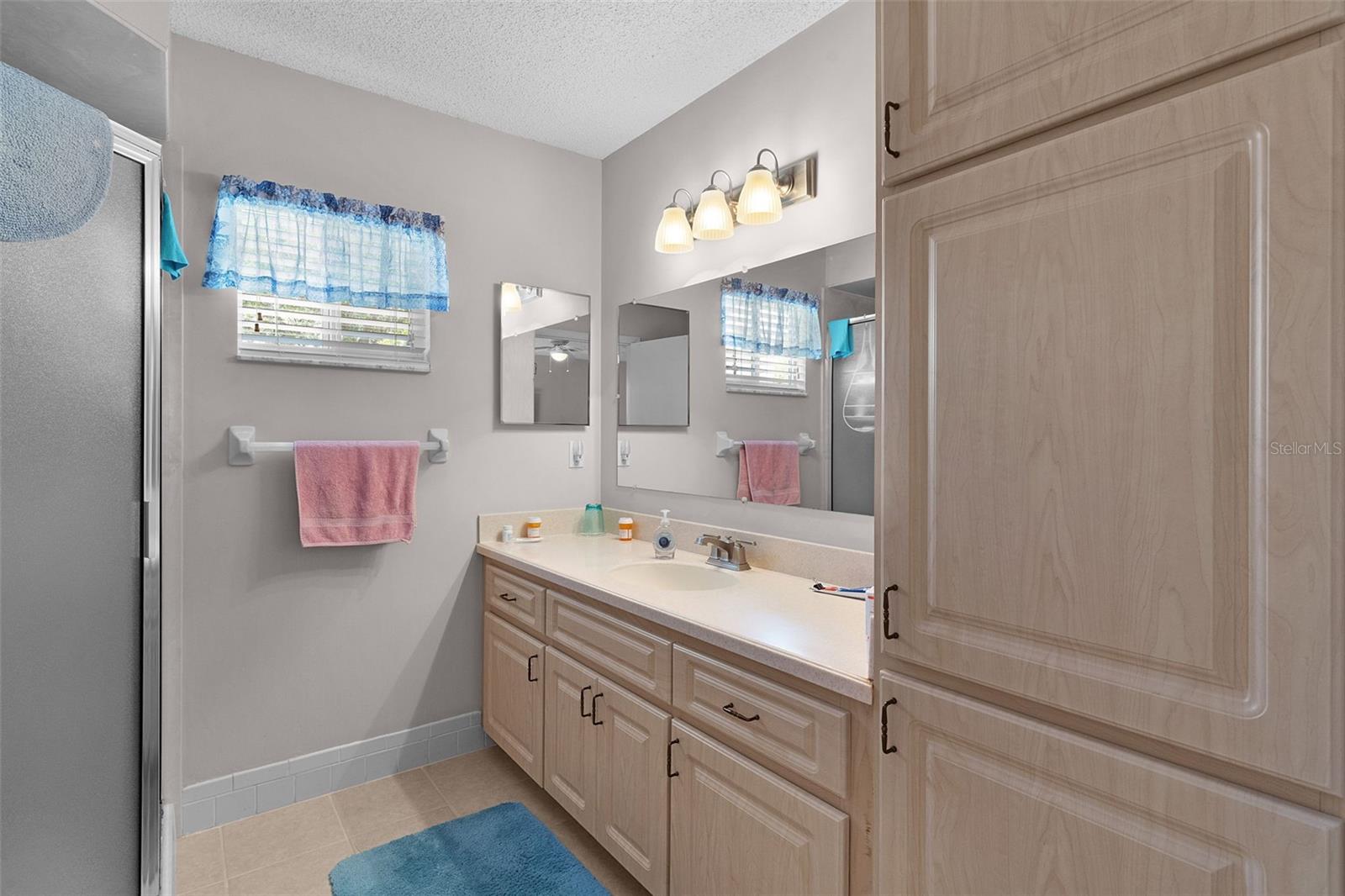 17864 SE 106TH TER, SUMMERFIELD, FL, 34491