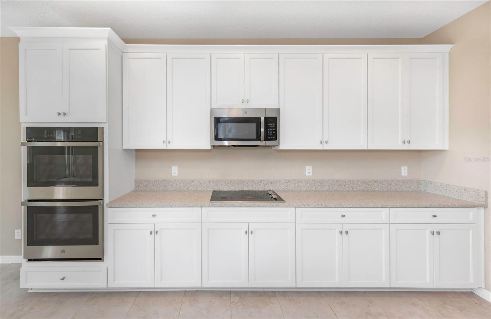 38132 COBBLE CREEK BLVD, ZEPHYRHILLS, FL, 33540