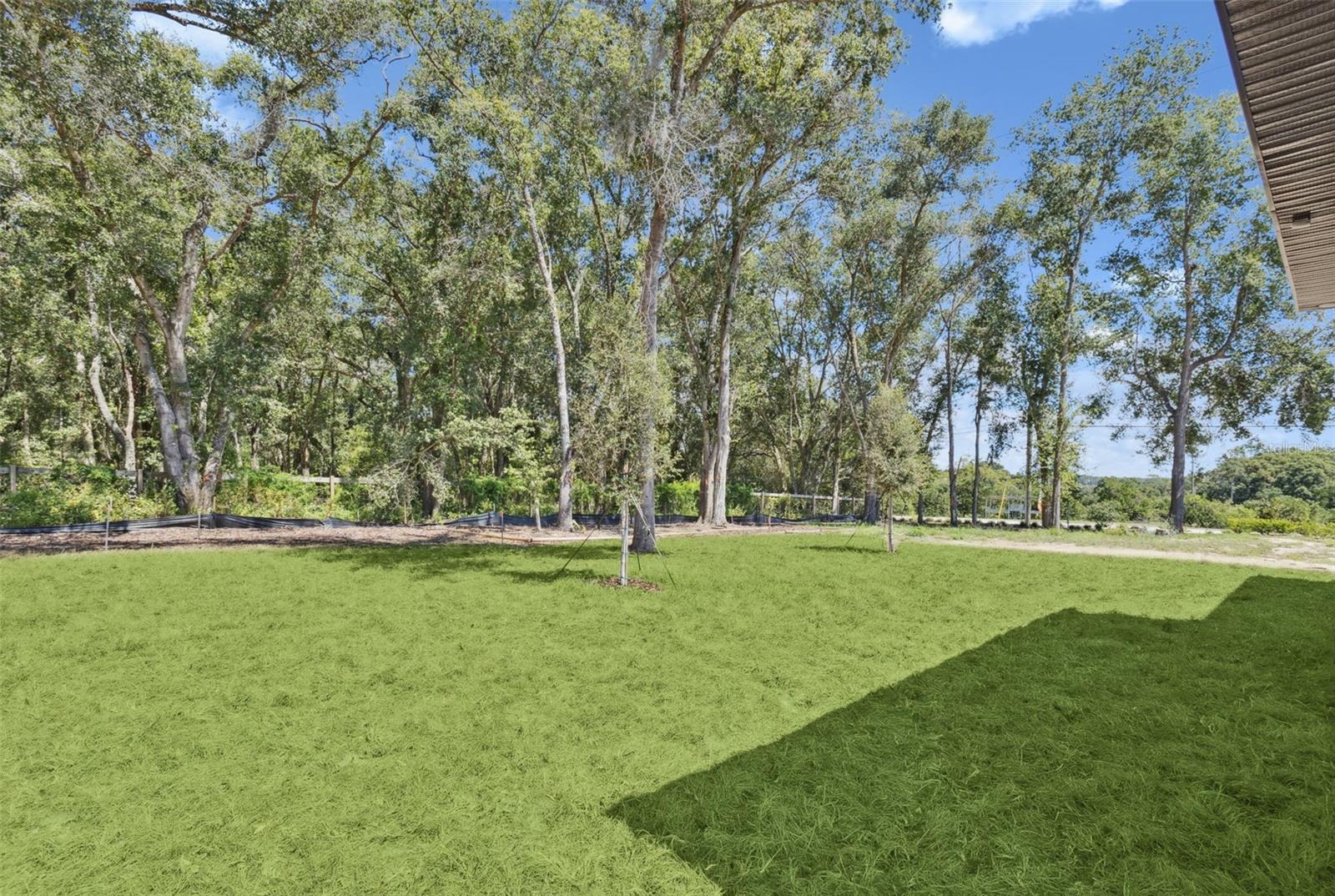 4276 DARBY CT, EUSTIS, FL, 32736