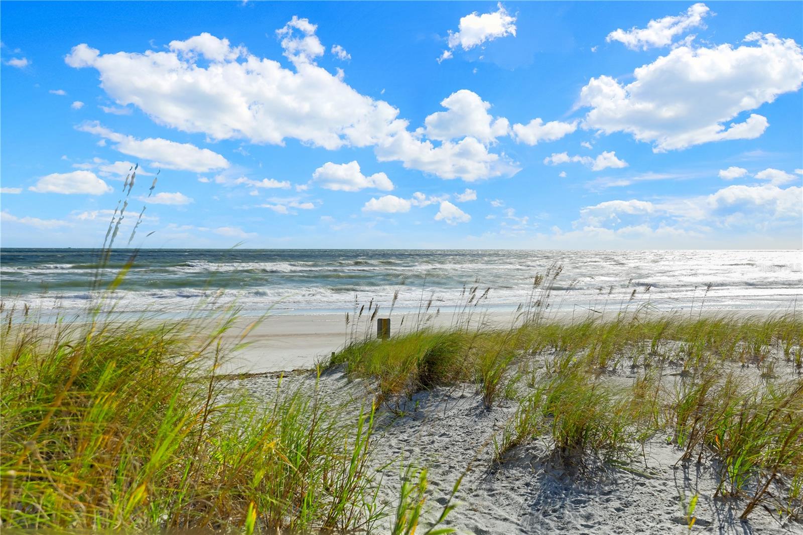 110 OCEAN HOLLOW LN #101, ST AUGUSTINE, FL, 32084