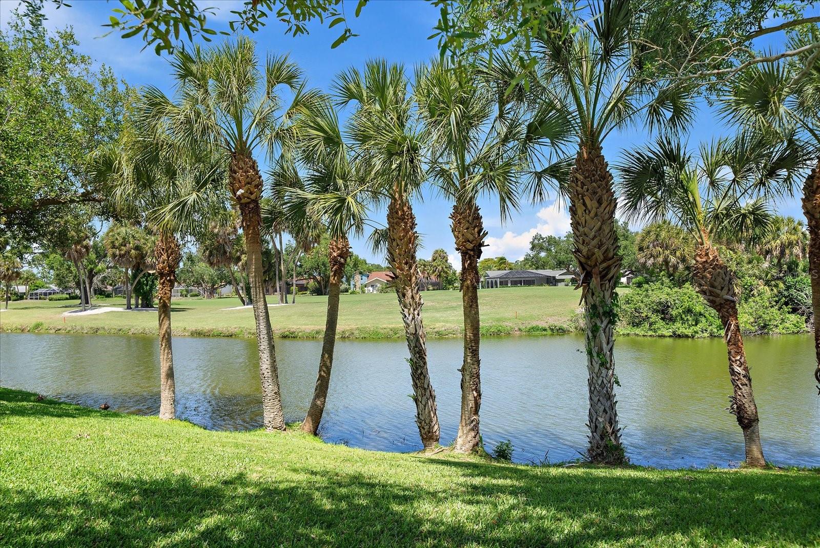 3905 SPYGLASS HILL RD, SARASOTA, FL, 34238