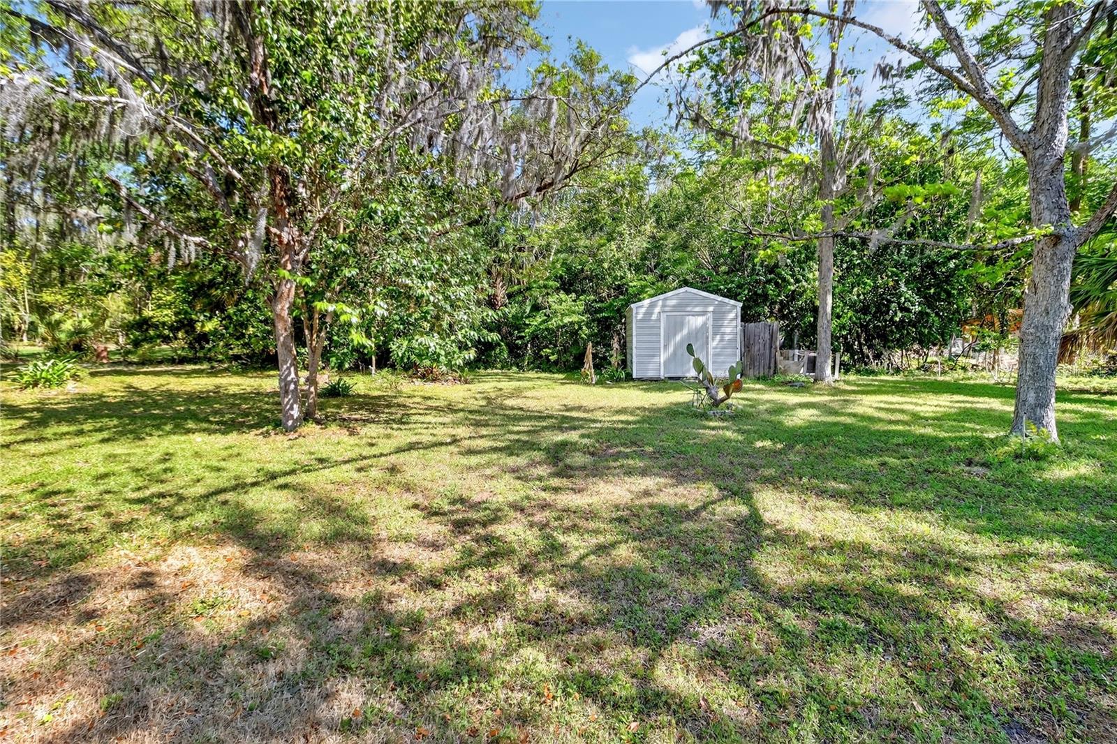 432 NW 2ND AVE, WILLISTON, FL, 32696