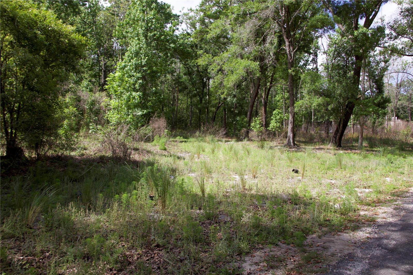 1920 10TH ST, ORLANDO, FL, 32820