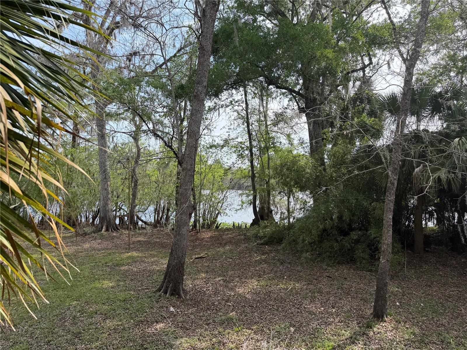124 NE 824TH ST, OLD TOWN, FL, 32680