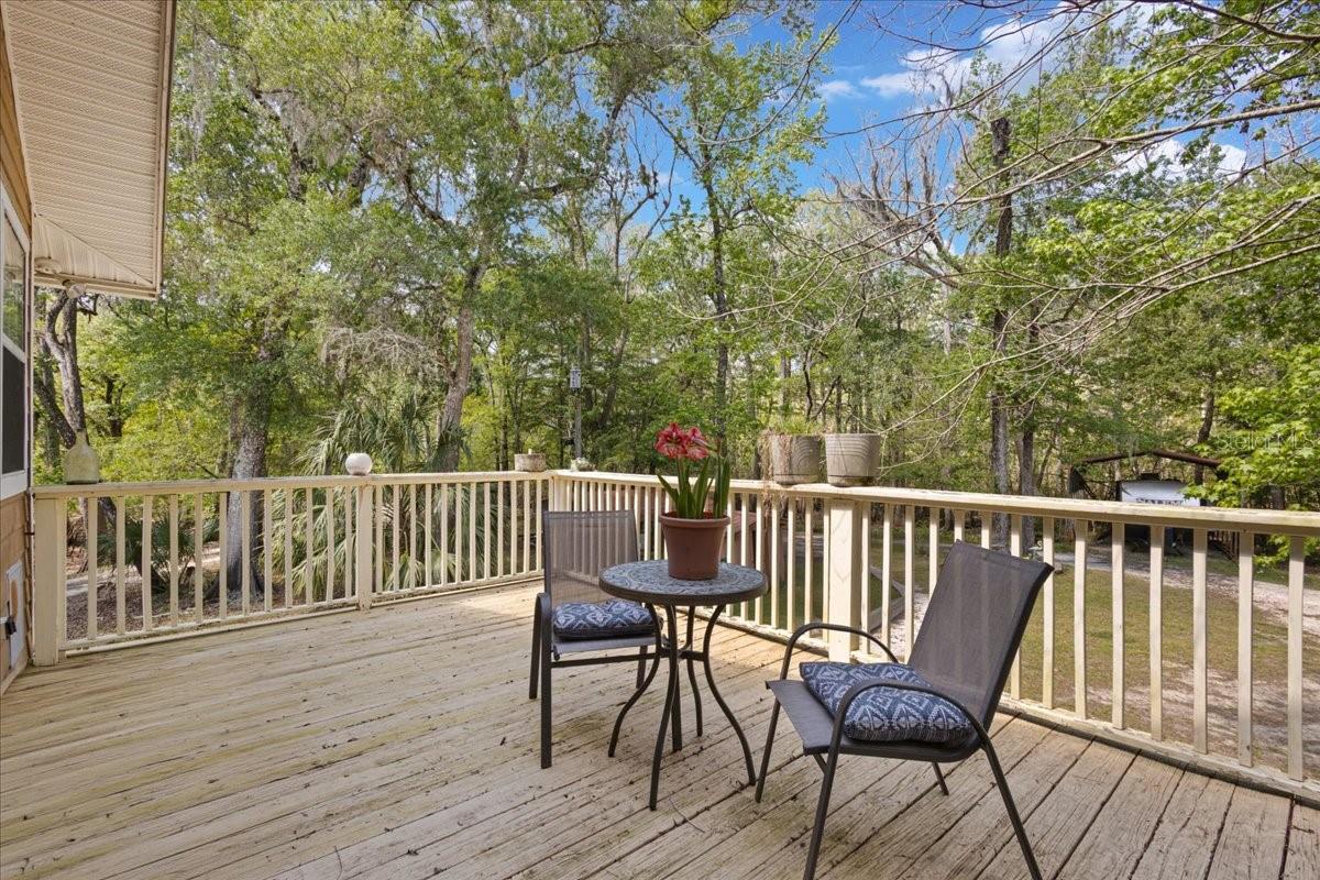 124 NE 824TH ST, OLD TOWN, FL, 32680