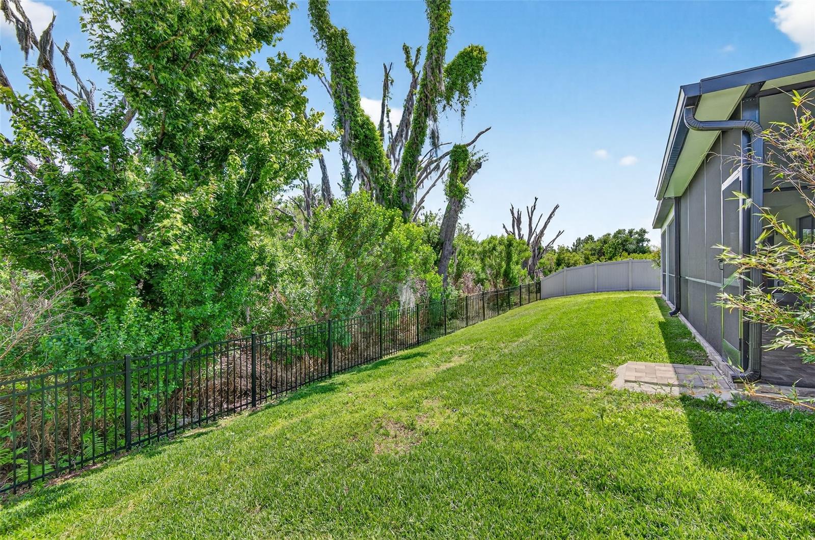 8060 ROMA DUNE DR, WESLEY CHAPEL, FL, 33545