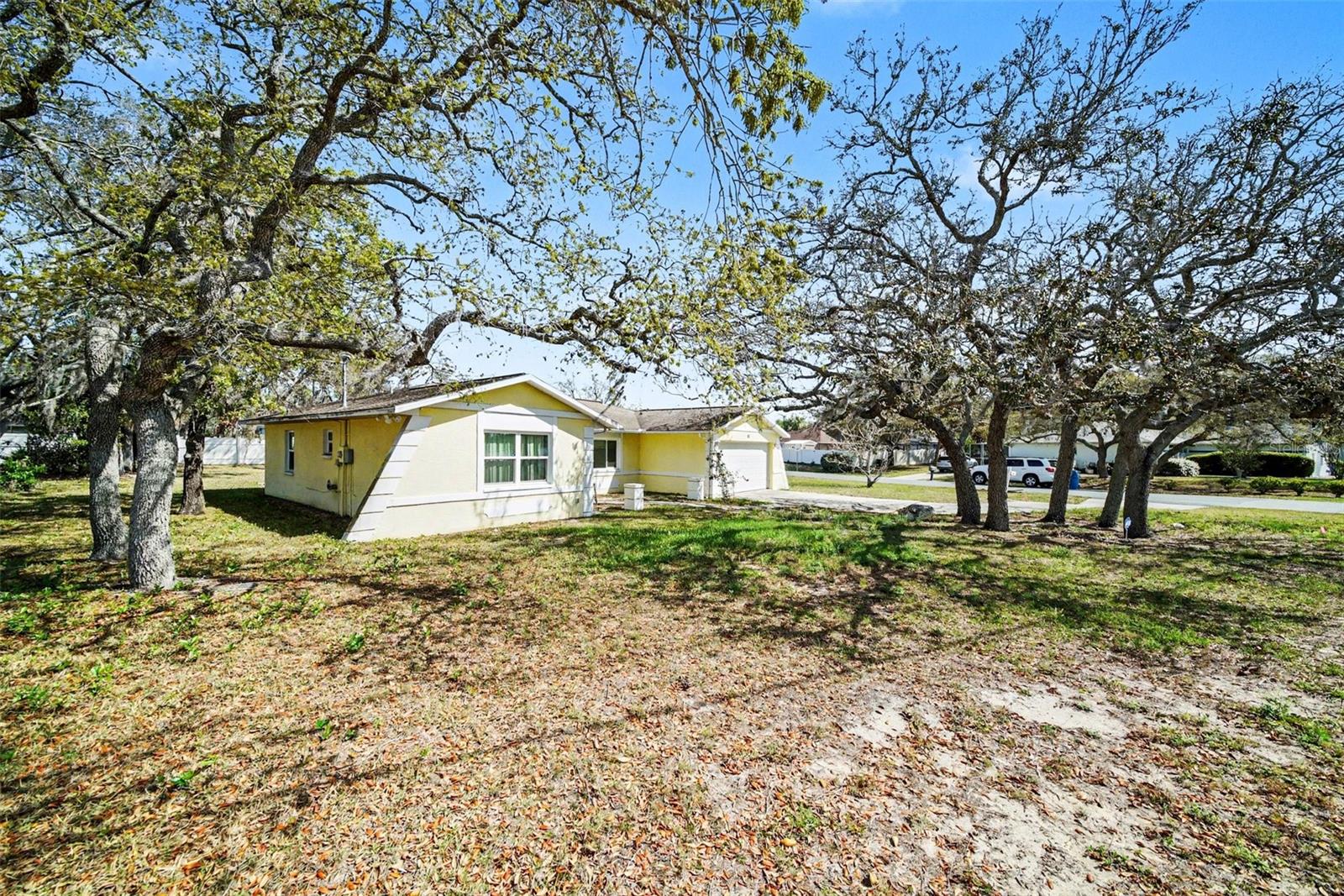 113 RUSKIN AVE, SPRING HILL, FL, 34606