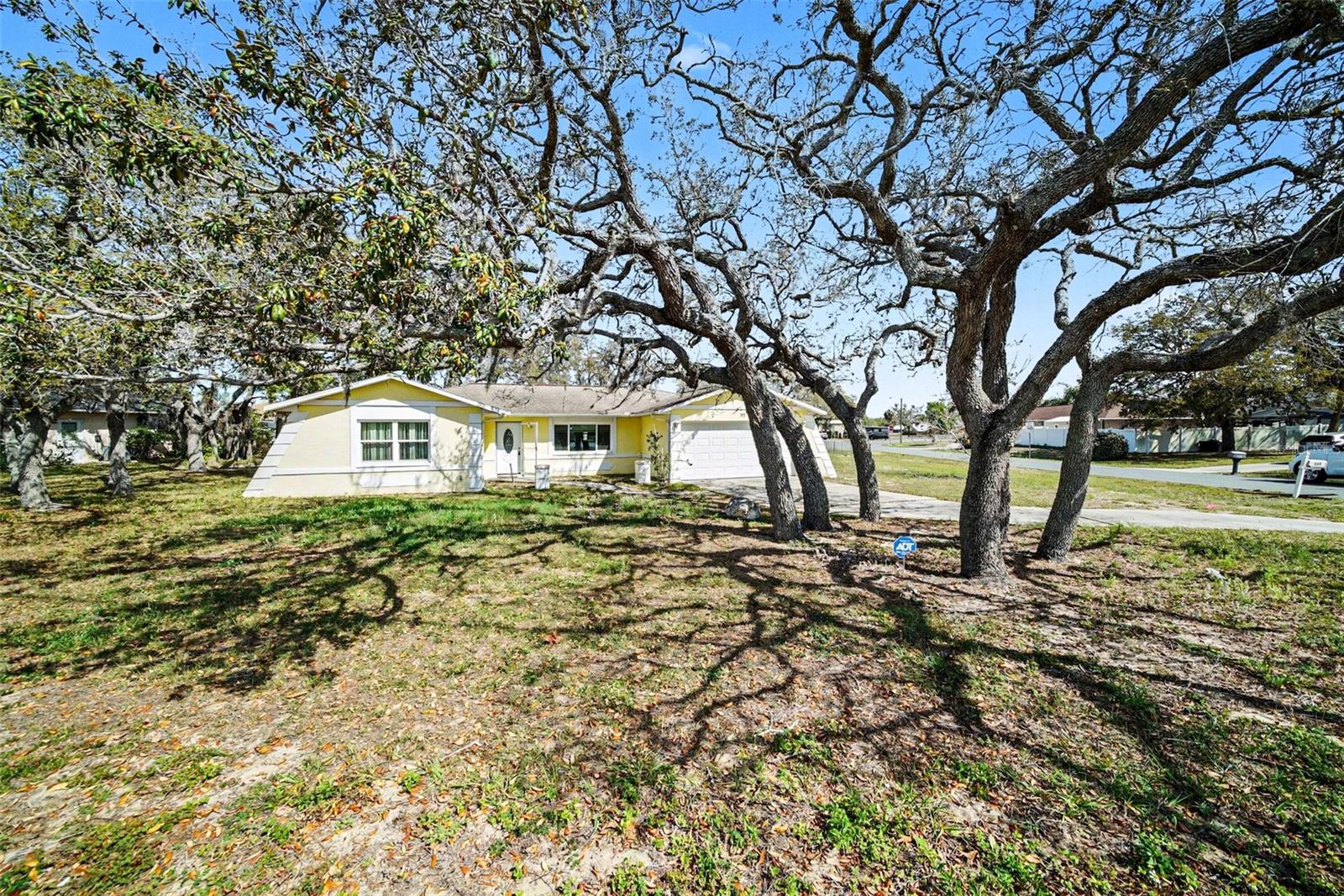 113 RUSKIN AVE, SPRING HILL, FL, 34606