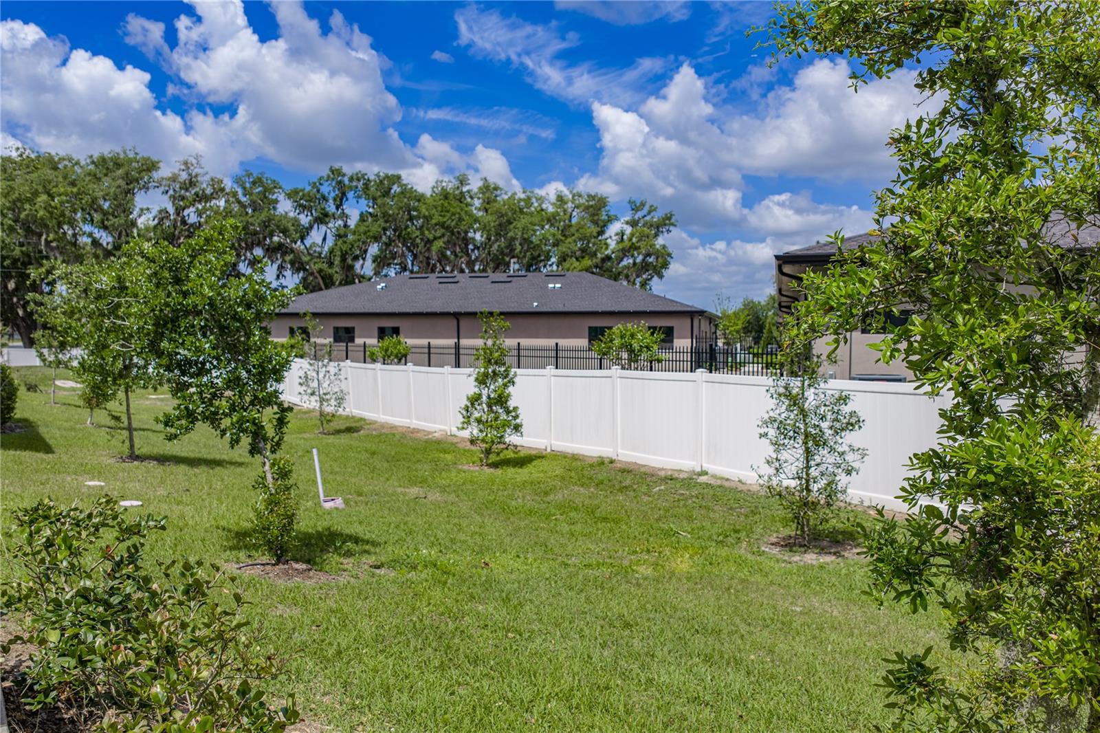 Large Back Yard Space and Open Green Area