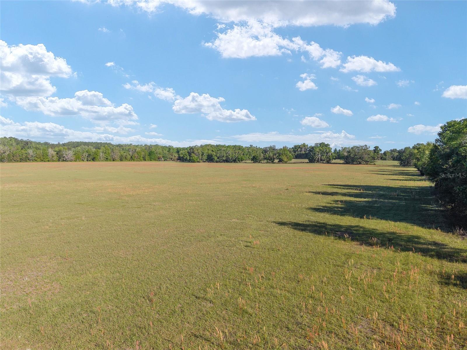 6405 NW 165TH ST, REDDICK, FL, 32686