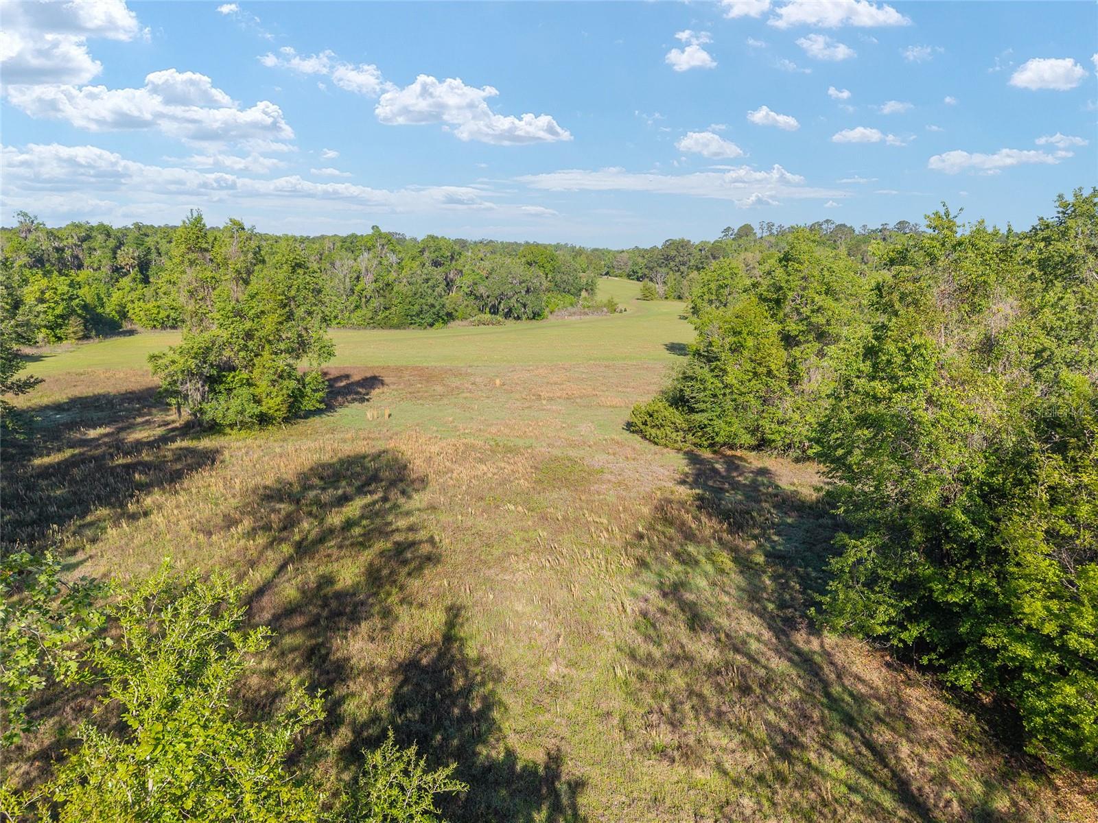 6405 NW 165TH ST, REDDICK, FL, 32686