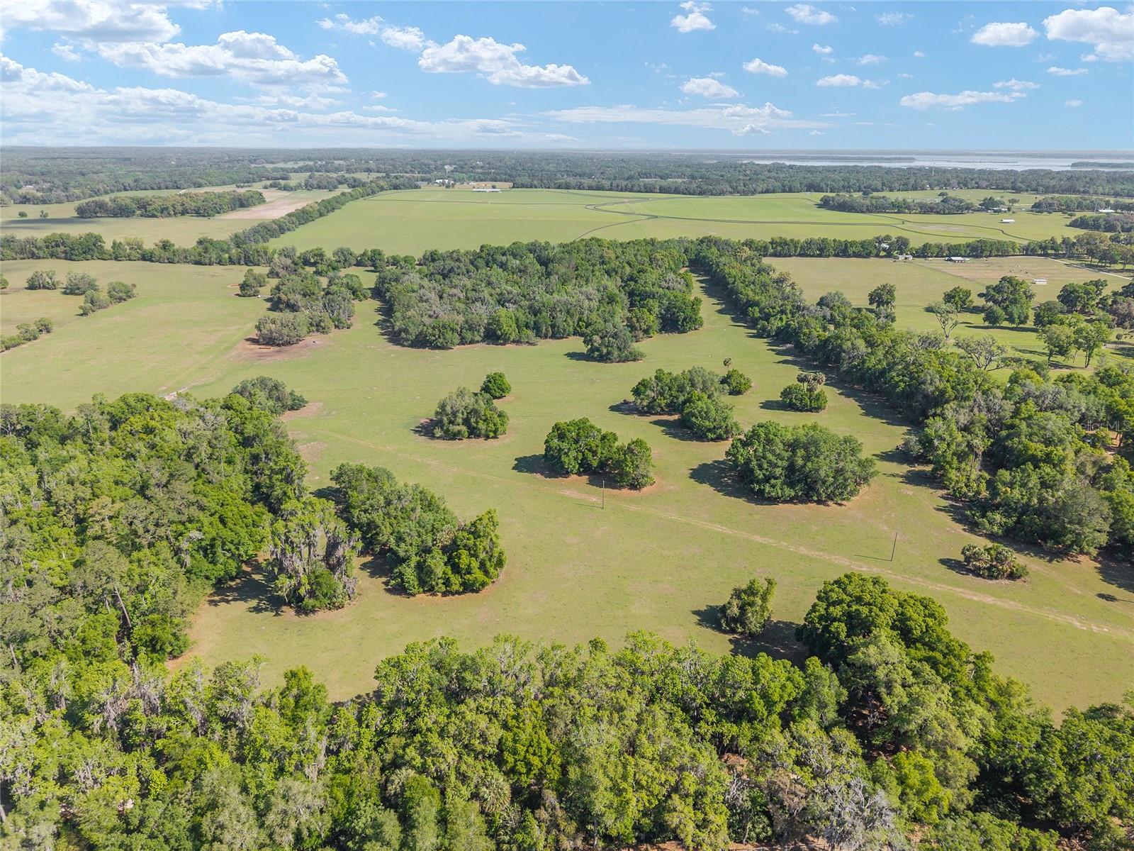 6405 NW 165TH ST, REDDICK, FL, 32686
