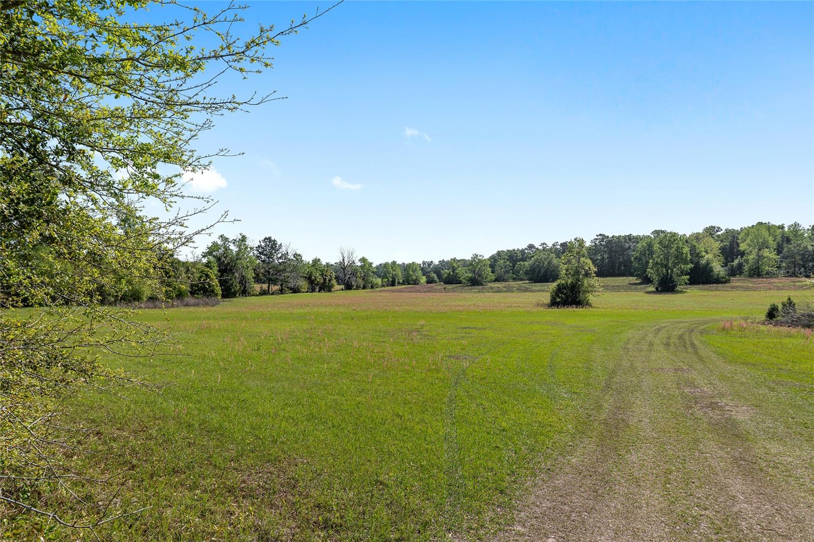 6405 NW 165TH ST, REDDICK, FL, 32686