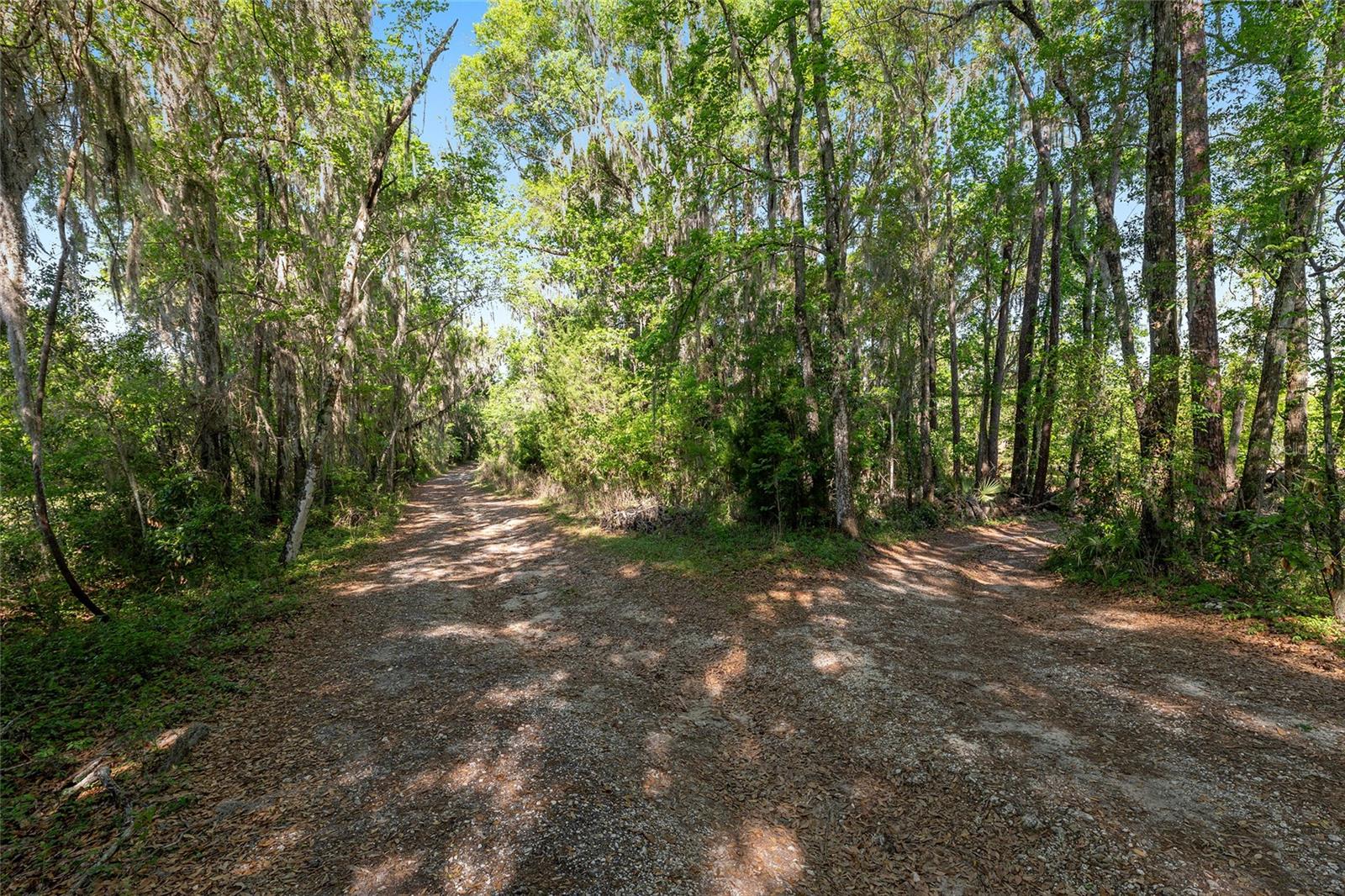 6405 NW 165TH ST, REDDICK, FL, 32686