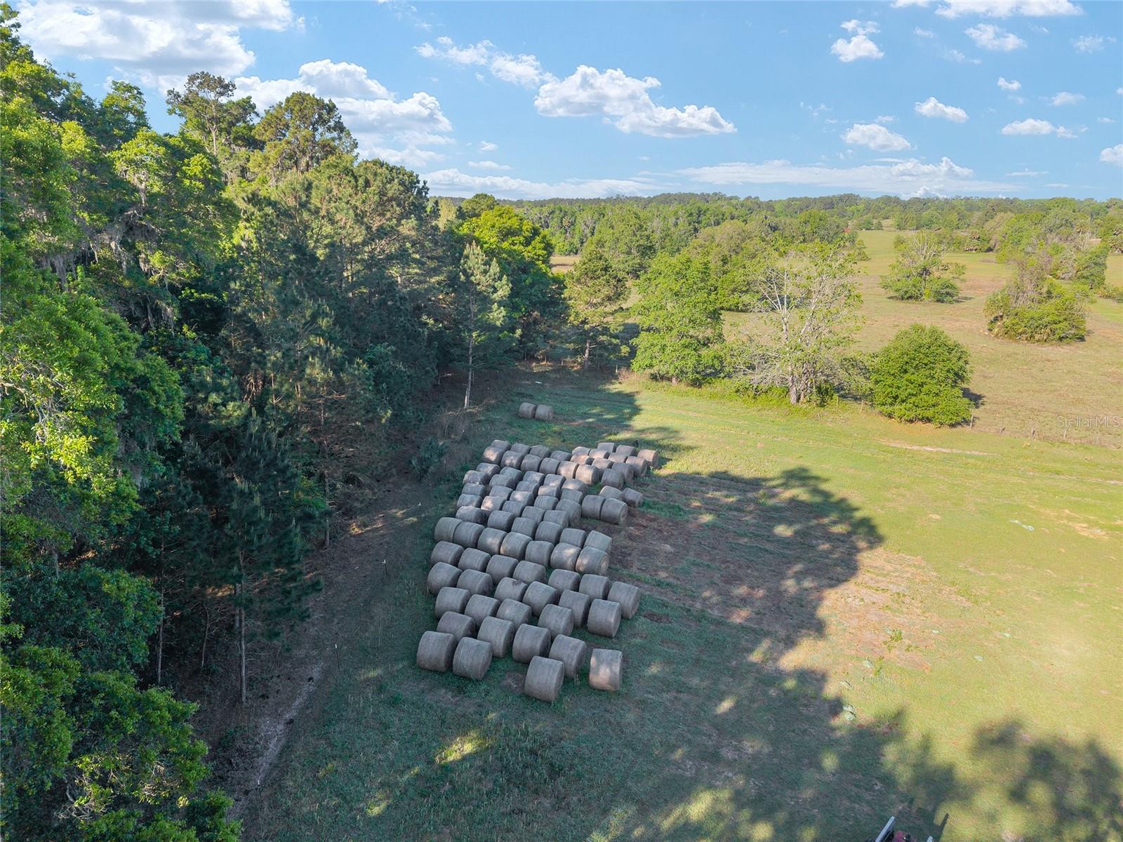 6405 NW 165TH ST, REDDICK, FL, 32686
