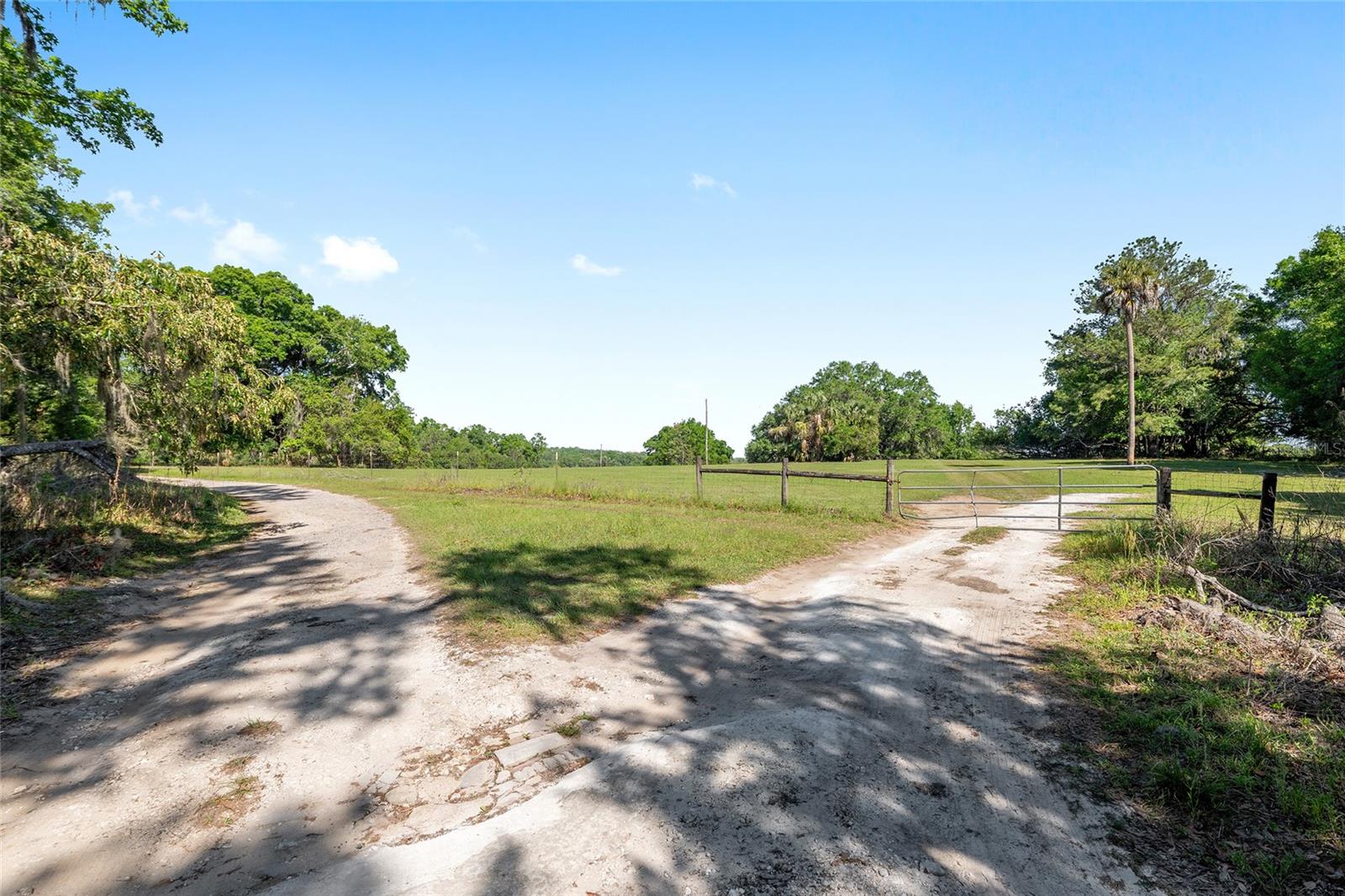 6405 NW 165TH ST, REDDICK, FL, 32686
