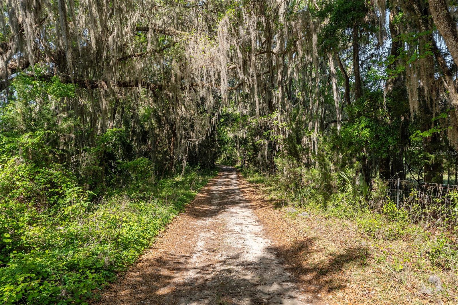 6405 NW 165TH ST, REDDICK, FL, 32686