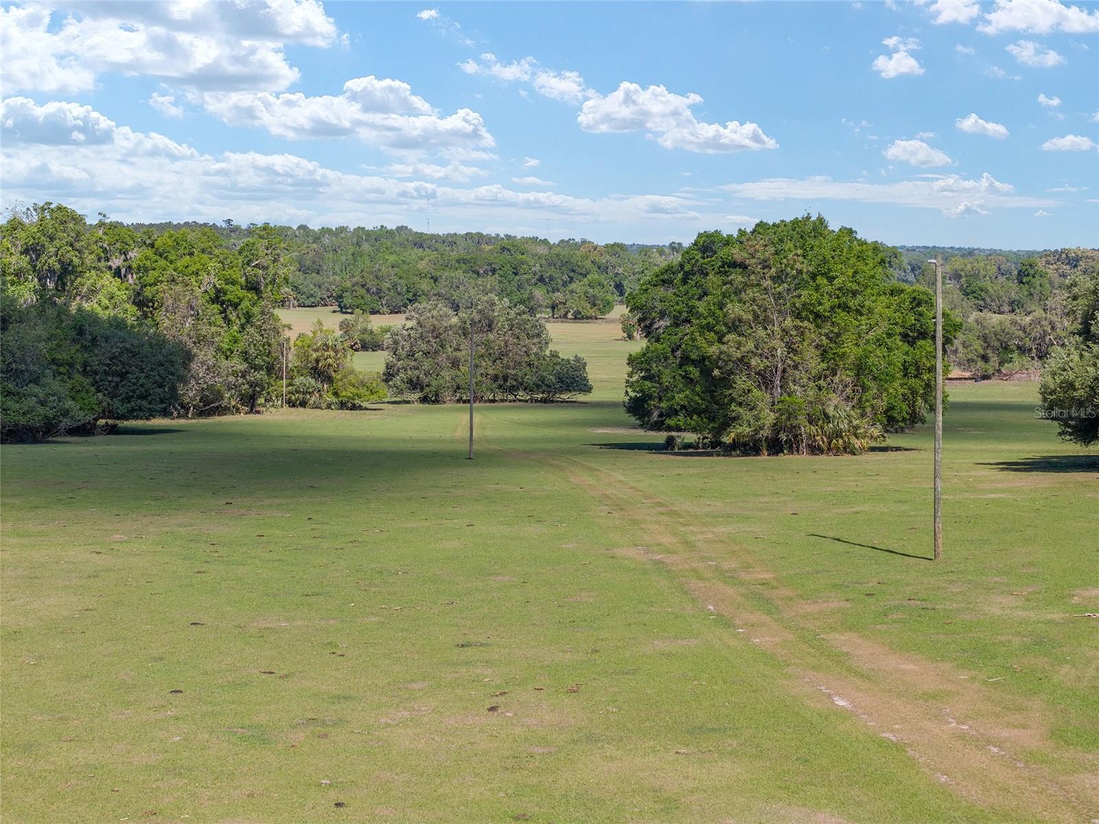 6405 NW 165TH ST, REDDICK, FL, 32686