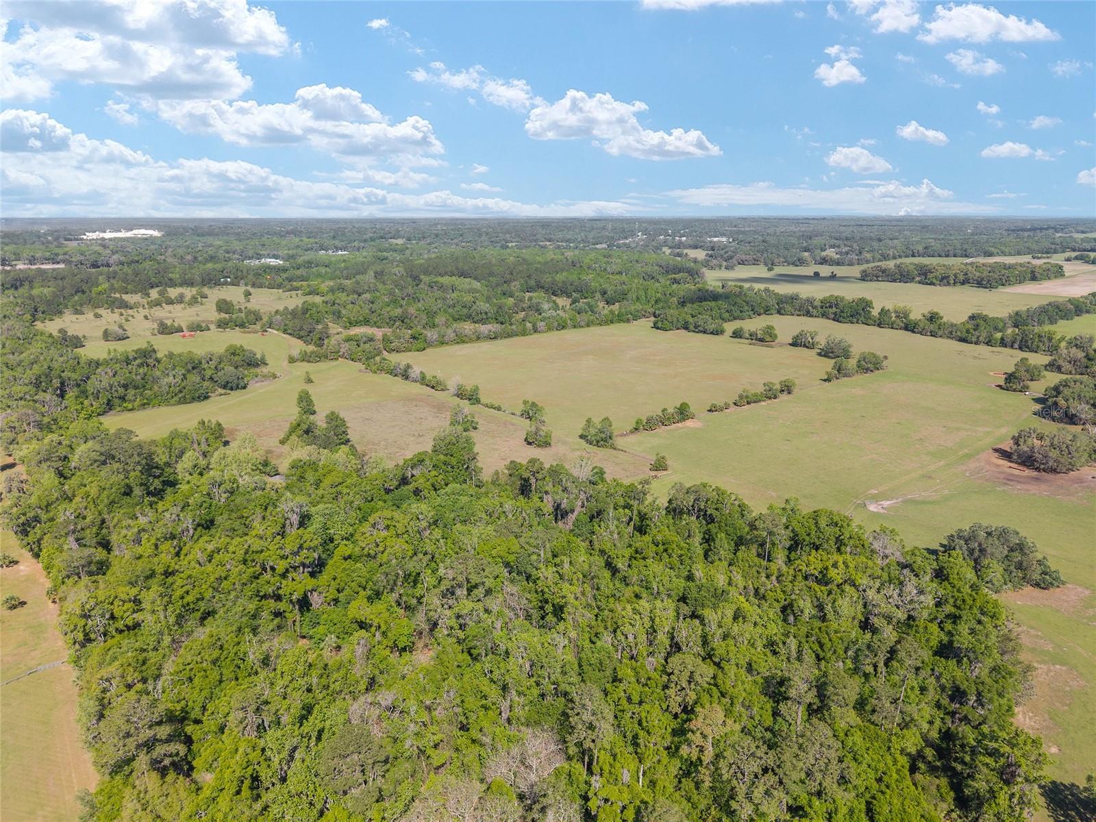 6405 NW 165TH ST, REDDICK, FL, 32686