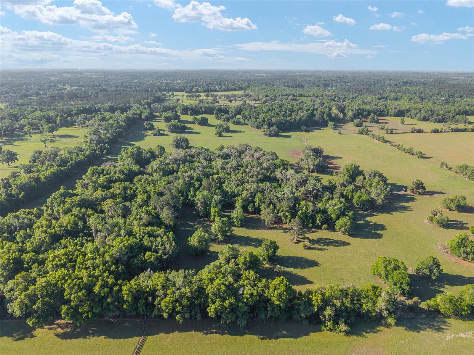 6405 NW 165TH ST, REDDICK, FL, 32686