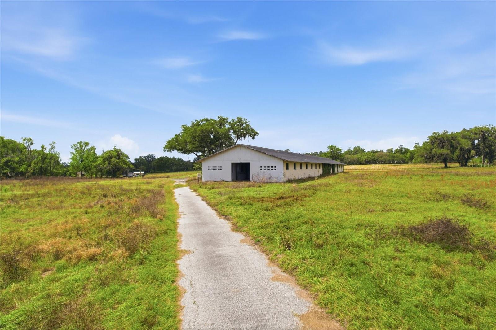 5465 NW 110TH AVE, OCALA, FL, 34482