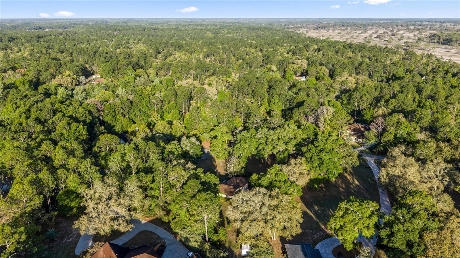 20949 SW 81ST LOOP, DUNNELLON, FL, 34431
