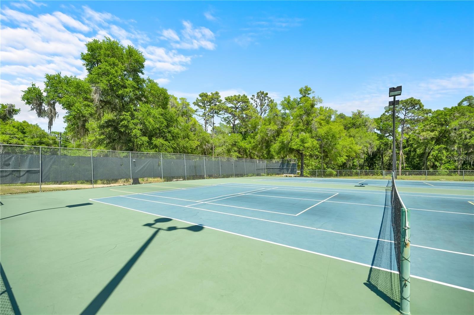 20949 SW 81ST LOOP, DUNNELLON, FL, 34431