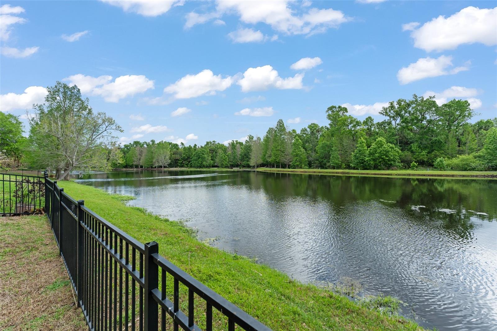 733 EASTLAWN DR, CELEBRATION, FL, 34747