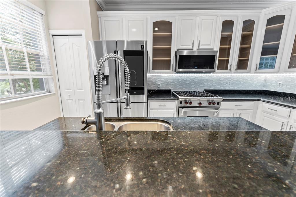 1437 HARBOUR WALK RD, TAMPA, FL, 33602