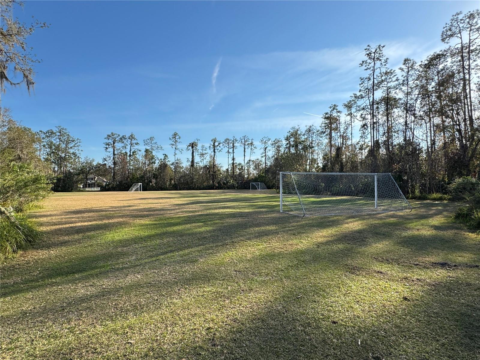 26911 JUNIPER BAY DR, WESLEY CHAPEL, FL, 33544