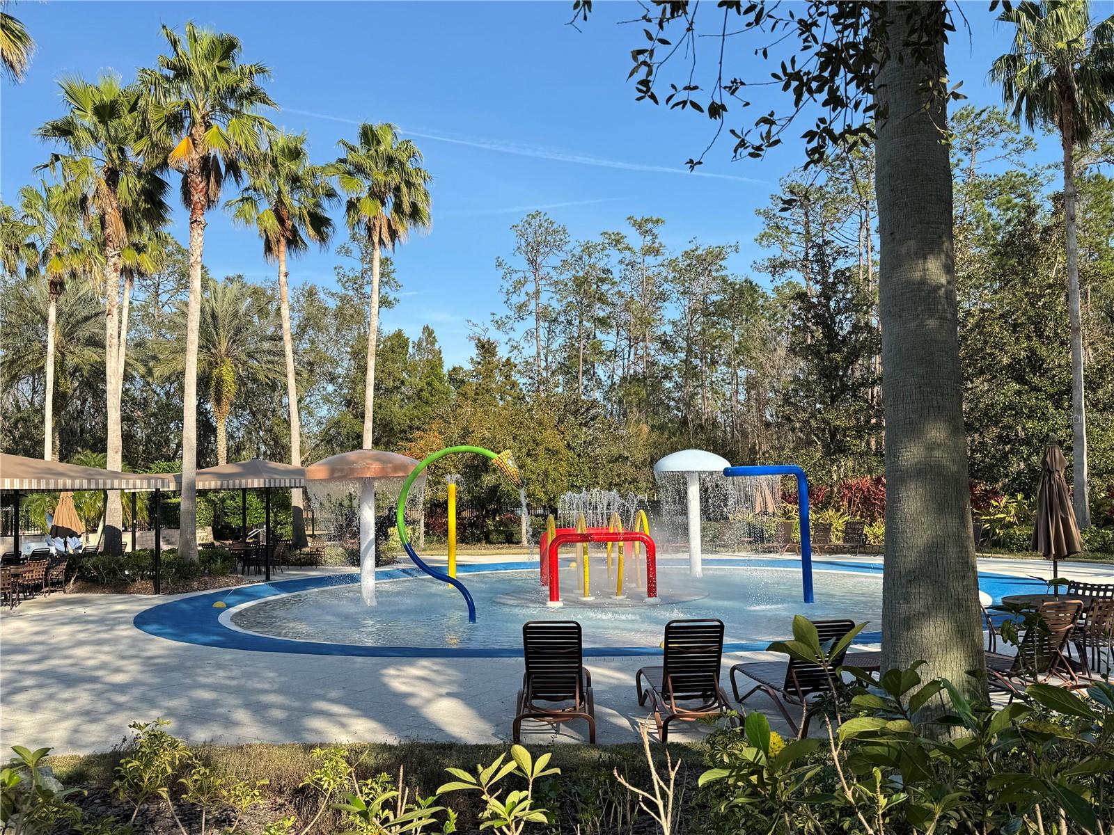 26911 JUNIPER BAY DR, WESLEY CHAPEL, FL, 33544