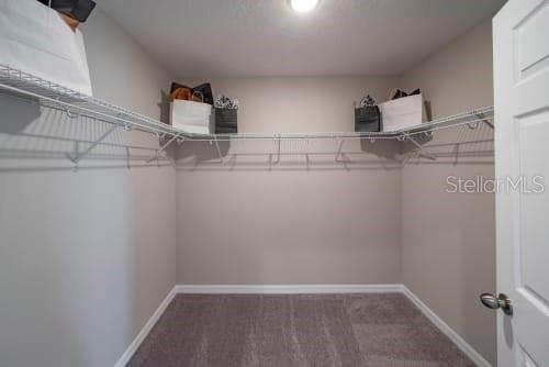 1298 WISPY CYPRESS DR, KISSIMMEE, FL, 34746