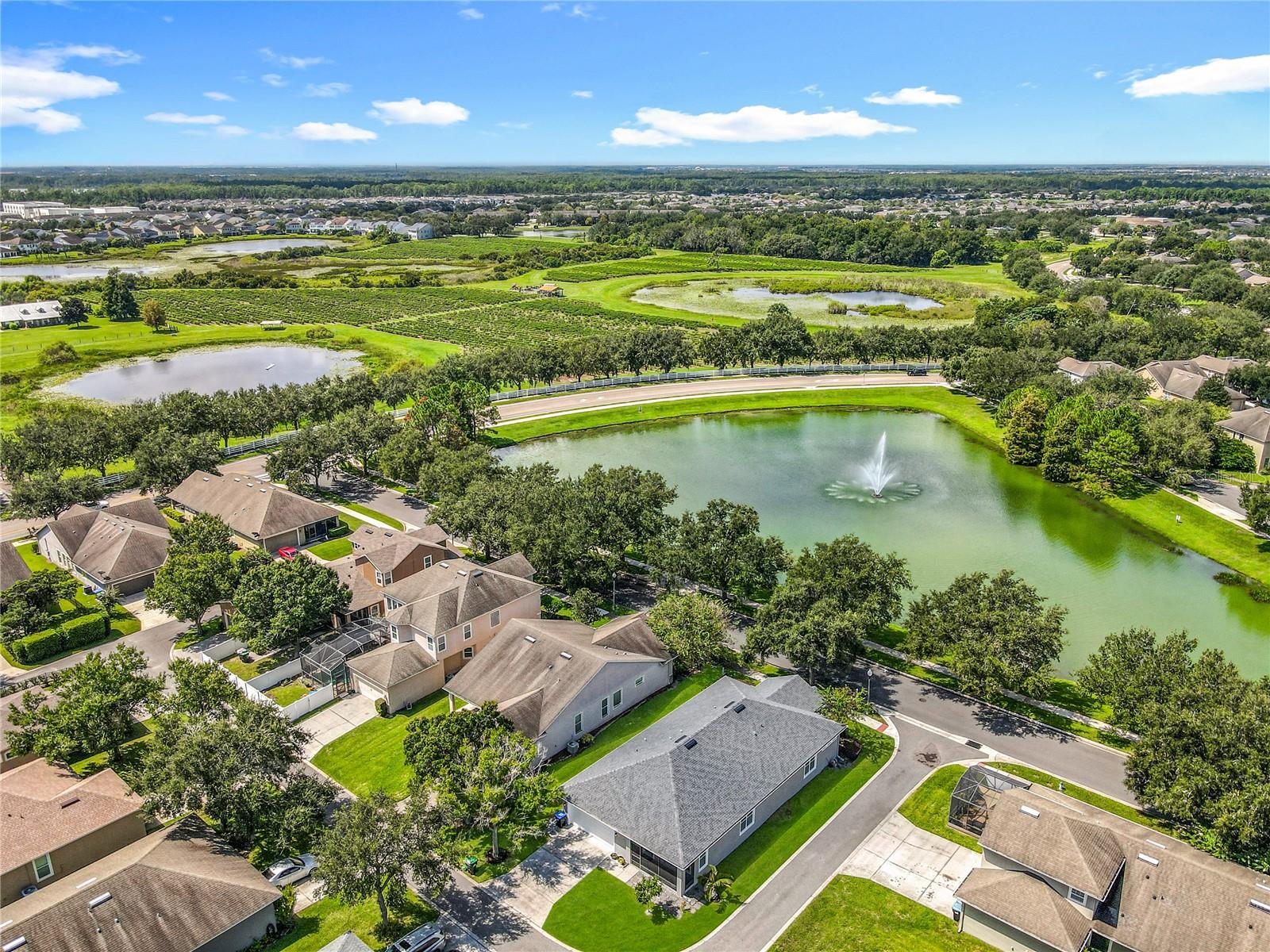 6953 TETTENHALL LN, WINDERMERE, FL, 34786