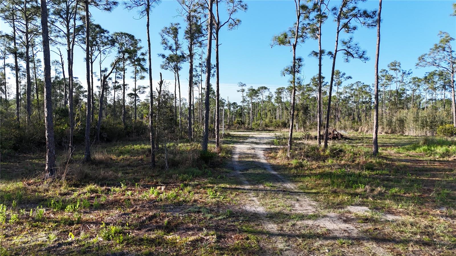 14350 BURNT STORE RD, PUNTA GORDA, FL, 33955