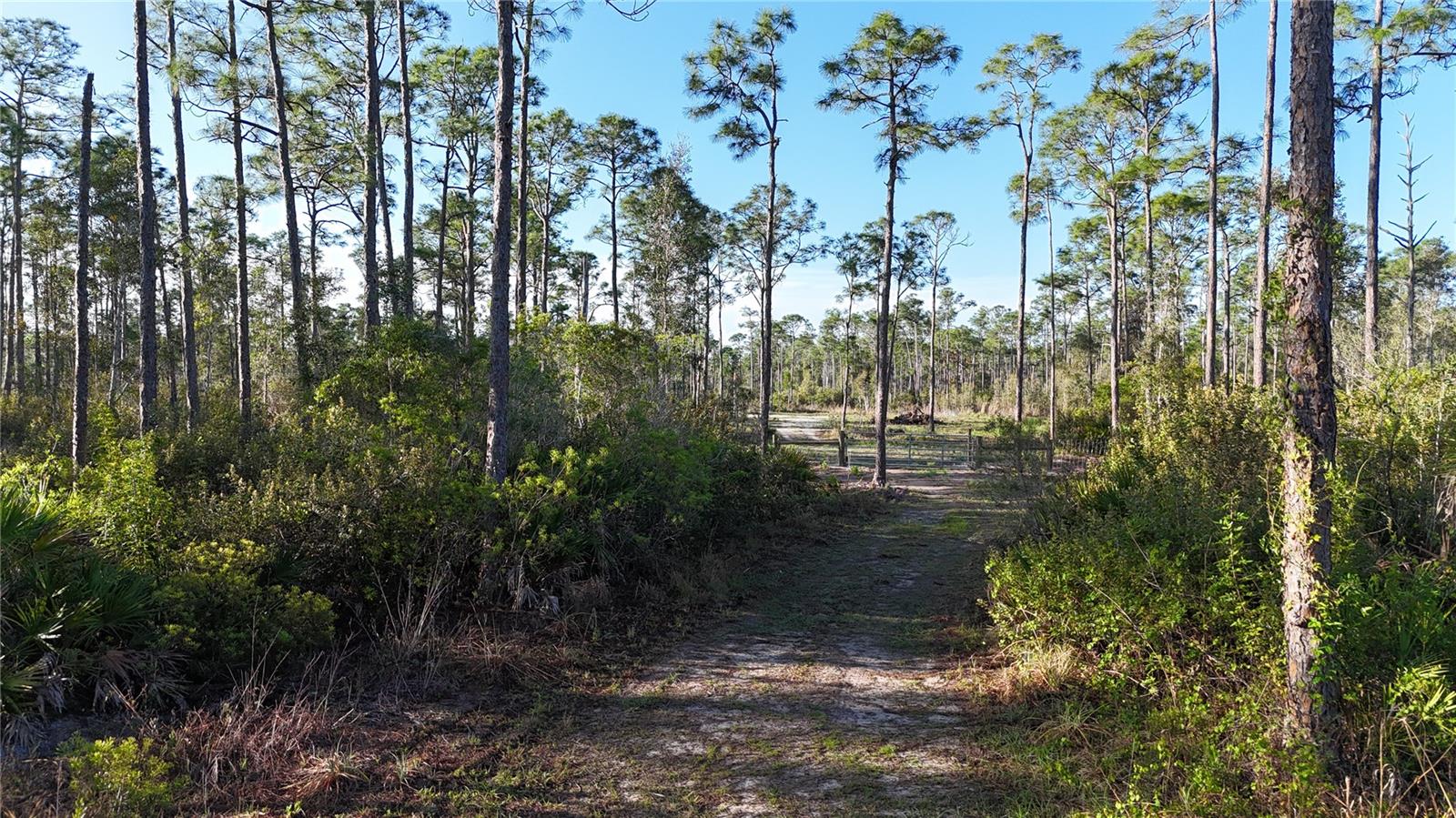 14350 BURNT STORE RD, PUNTA GORDA, FL, 33955