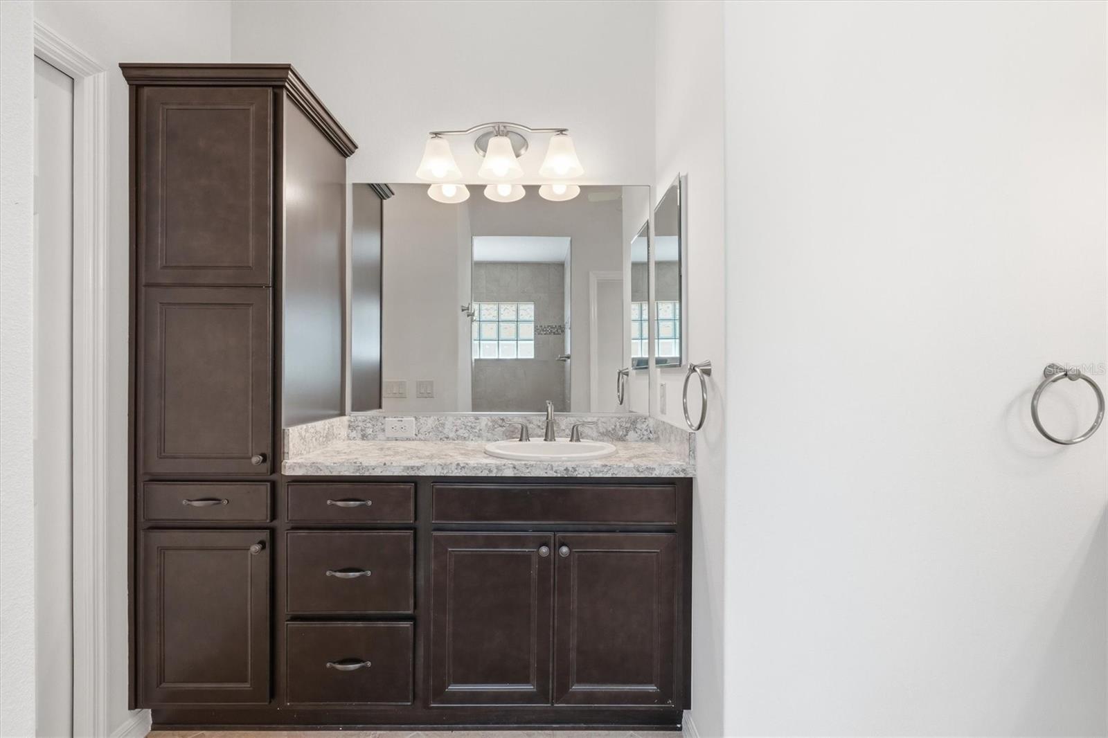 1424 WALNUT WAY, THE VILLAGES, FL, 32163