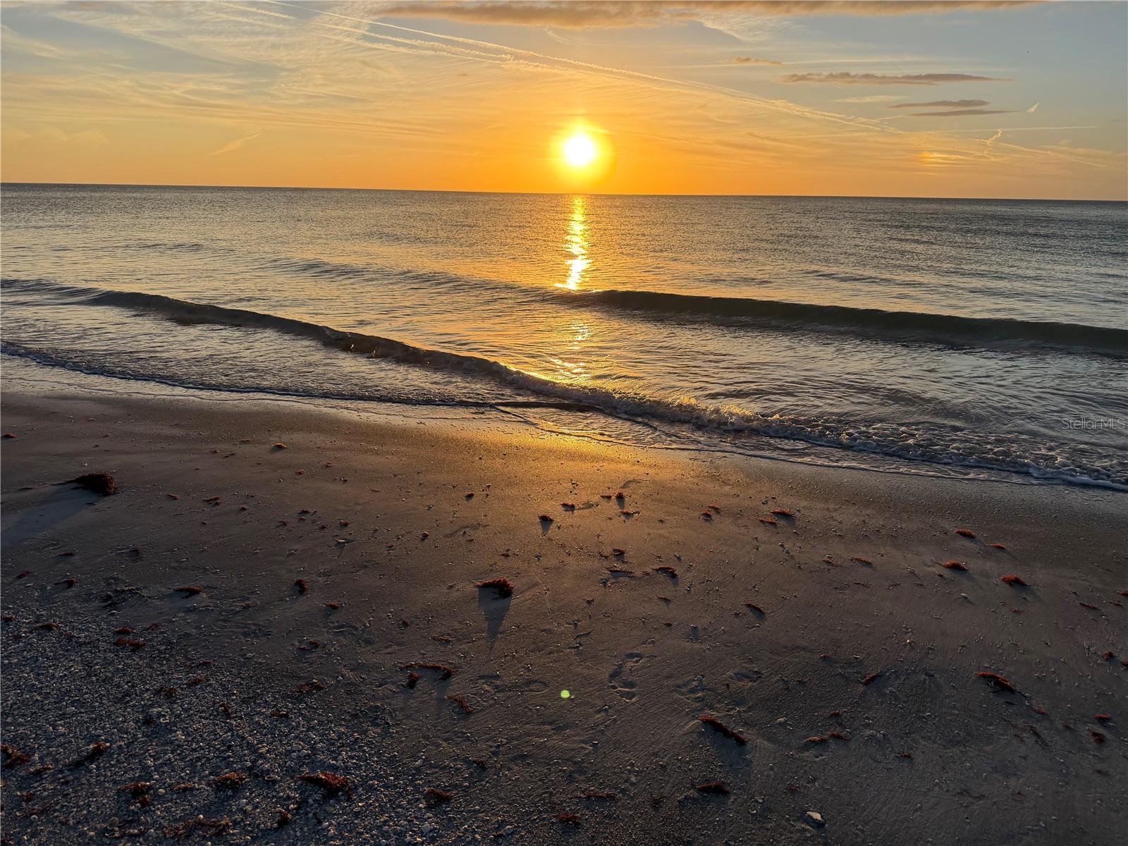 1230 GULF BLVD #304, CLEARWATER, FL, 33767