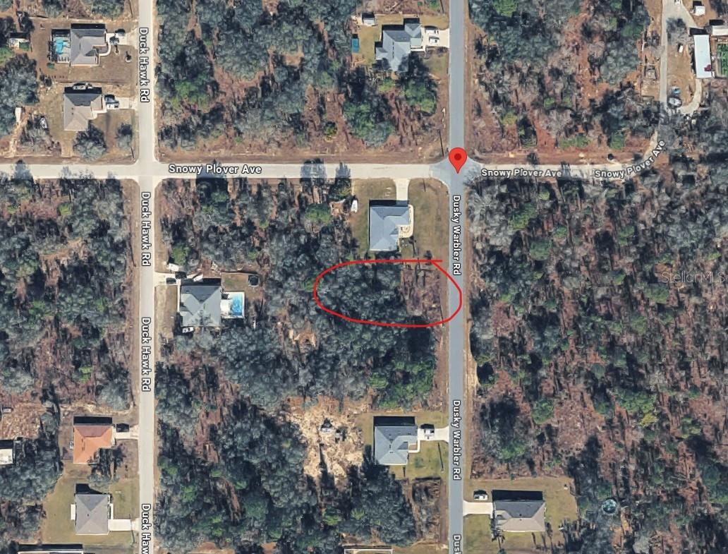 15057 DUSKY WARBLER RD, WEEKI WACHEE, FL, 34614