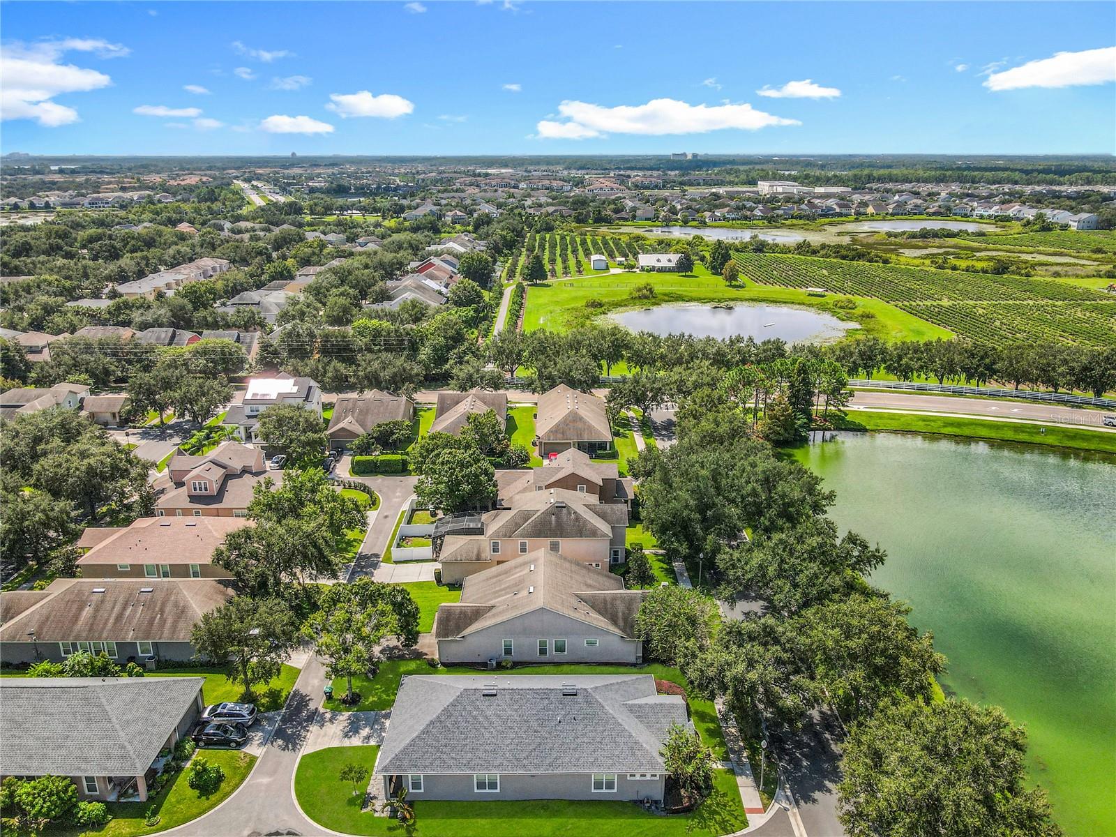 6953 TETTENHALL LN, WINDERMERE, FL, 34786