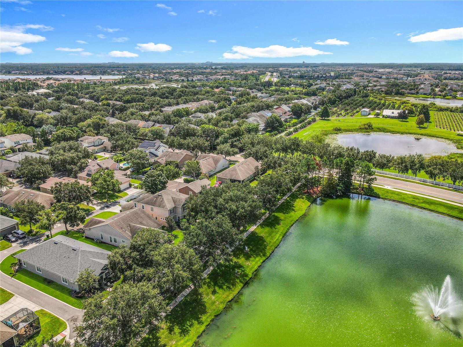 6953 TETTENHALL LN, WINDERMERE, FL, 34786