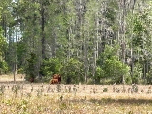 5400 BRUTON RD, PLANT CITY, FL, 33565