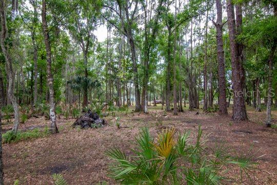 5400 BRUTON RD, PLANT CITY, FL, 33565