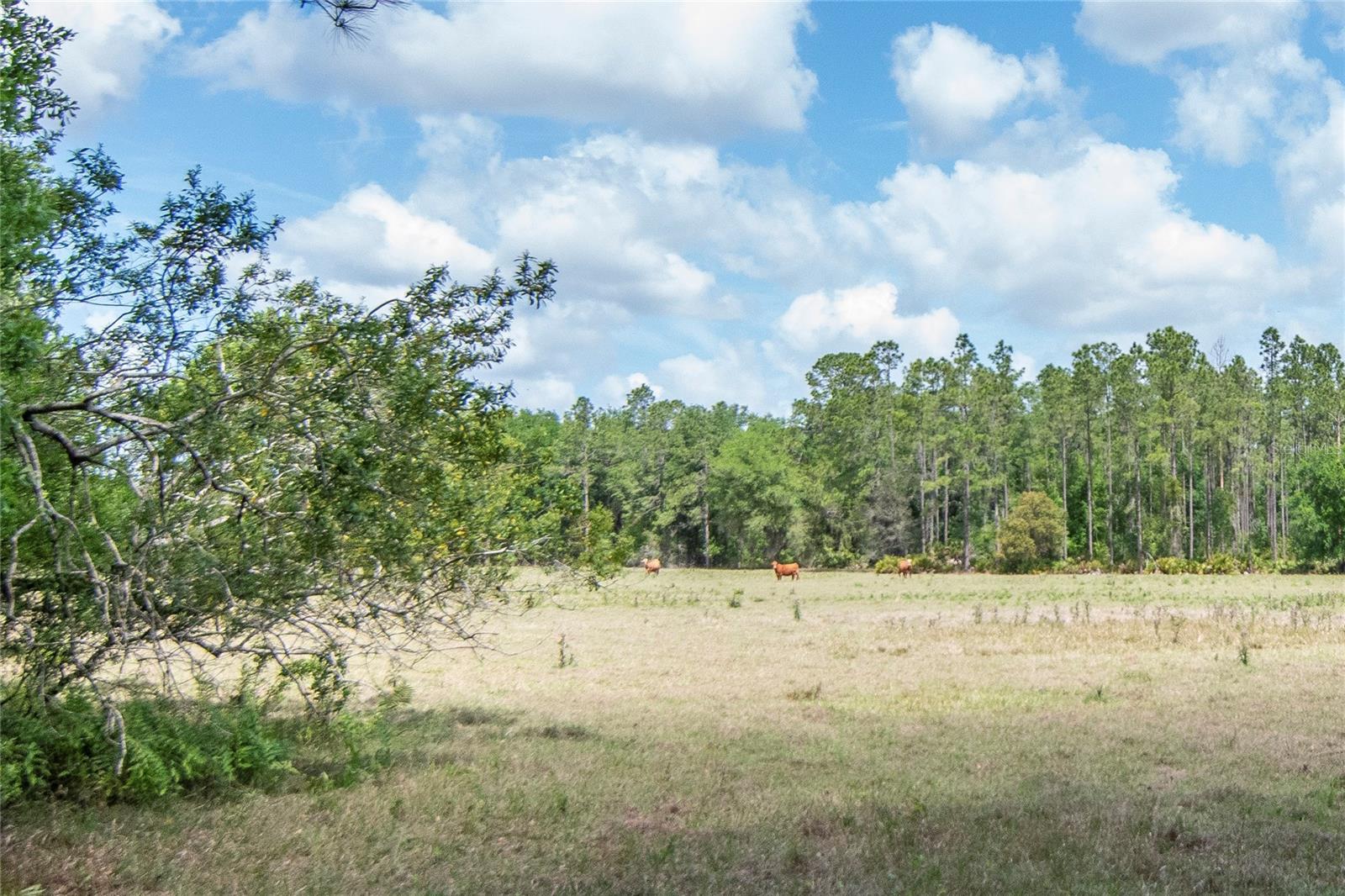 5400 BRUTON RD, PLANT CITY, FL, 33565