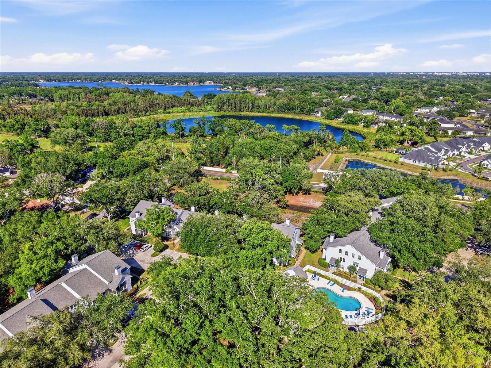 3213 VALLEY OAKS DR, TAMPA, FL, 33618