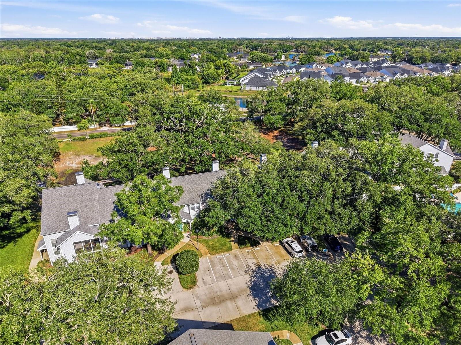 3213 VALLEY OAKS DR, TAMPA, FL, 33618
