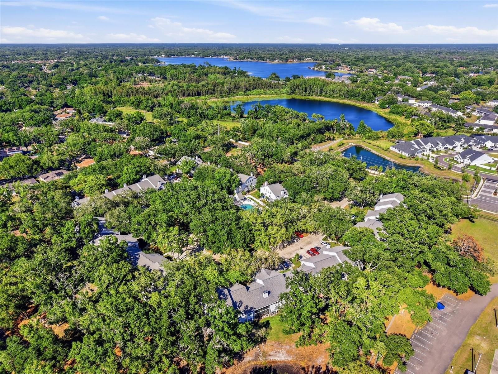 3213 VALLEY OAKS DR, TAMPA, FL, 33618