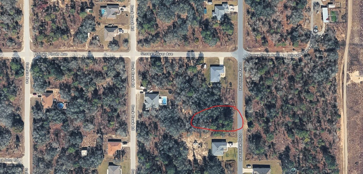 15037 DUSKY WARBLER RD, WEEKI WACHEE, FL, 34614